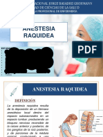 Anestesia Raquídea PDF