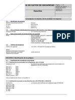 hds GASOLINA.pdf