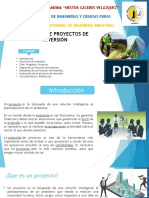 Gestíon de Proyectos de Inversión.pptx