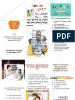 Antenatal Care Leaflet