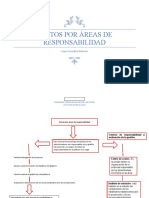 Costos Por Áreas de Responsabilidad