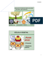 1 Stoa EXERCICIO 1-Mapa Conceitual, Conceitos, Inclusões Celulares (Modo de Compatibilidade)