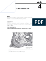 18054816022012Morfologia_Interna_e_Externa_dos_Vegetais_Aula_4.pdf