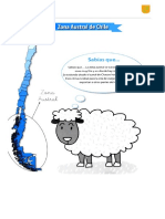 Guia 5to - Zona Austral (Impreso) PDF