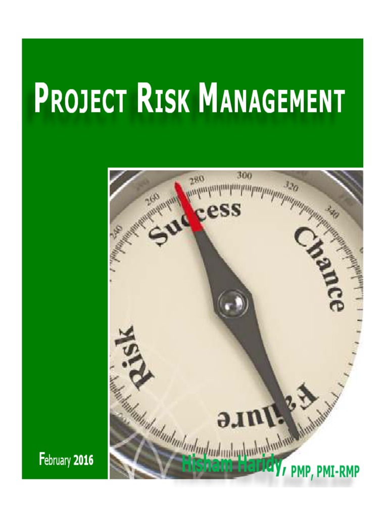 Project Risk Management Guide | PDF | Risk | Risk Management