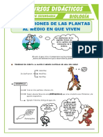 Adaptaciones de Las Plantas para Segundo de Secundaria