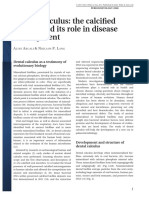 Calculos Dentales PDF