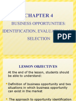 Business Opportunities: Identification, Evaluation, and Selection