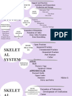 Support and Function of the Skeletal and Muscular Systems