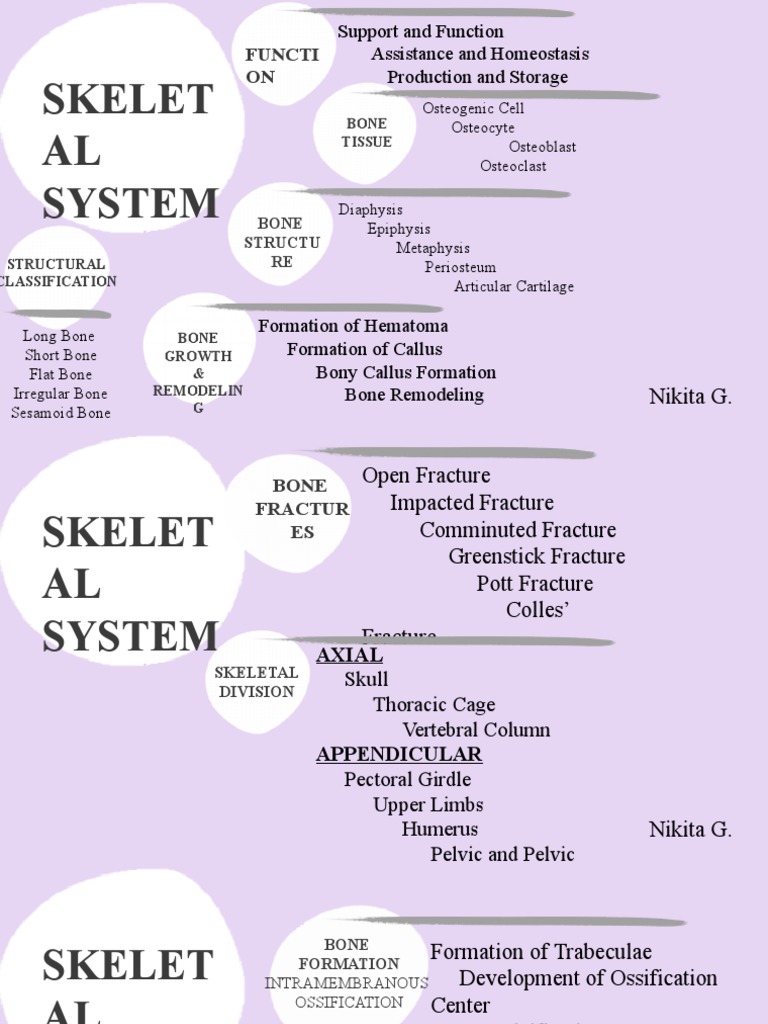 Skelet AL System: Functi ON | PDF | Bone | Muscle
