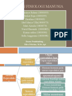 Sistem Reproduksi Kelompok 3 D3 I B