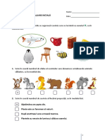 Test Evaluare Initiala CLR