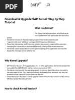 Upgrade SAP Kernel - Step by Step Tutorial PDF