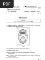 Teste Bg10.Out.2010.b