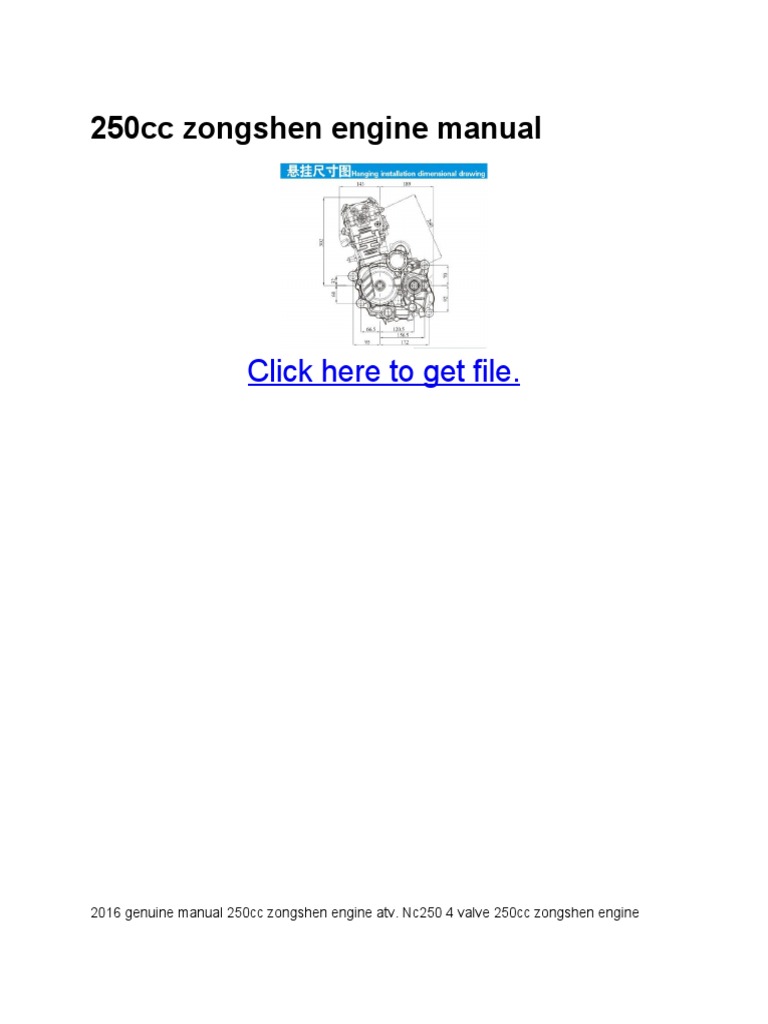 ZONGSHEN 250CC ENGINE MANUAL PDF intelligence overview