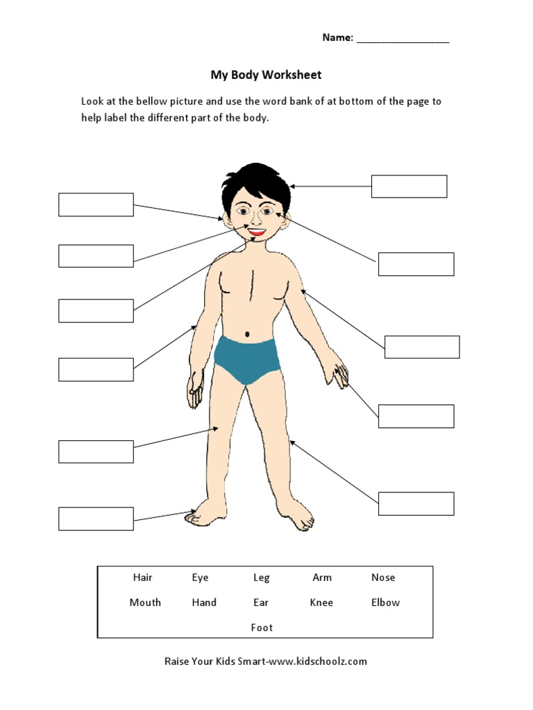 parts of the body test pdf