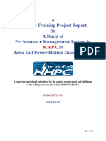 Project-Report-on-Performance-Management.pdf