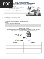 Guia 6 La Cadena Alimenticia