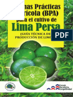 Cultivo de limón persa en RD con BPA