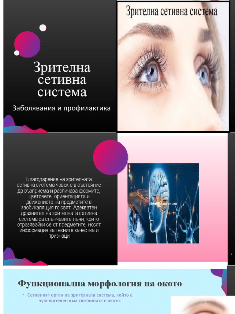 Зрителна сетивна система | PDF