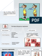 Anatomia Aparato Digestivo