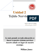 Tejido Nervioso PDF