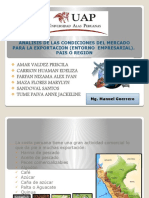 ANALISS DEL PERU (1).pptx