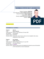 Modelo Hoja de Vida - Ok Rodrigo Silva PDF