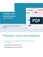 7amino Acid Metabolism
