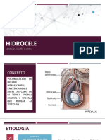 HIDROCELE