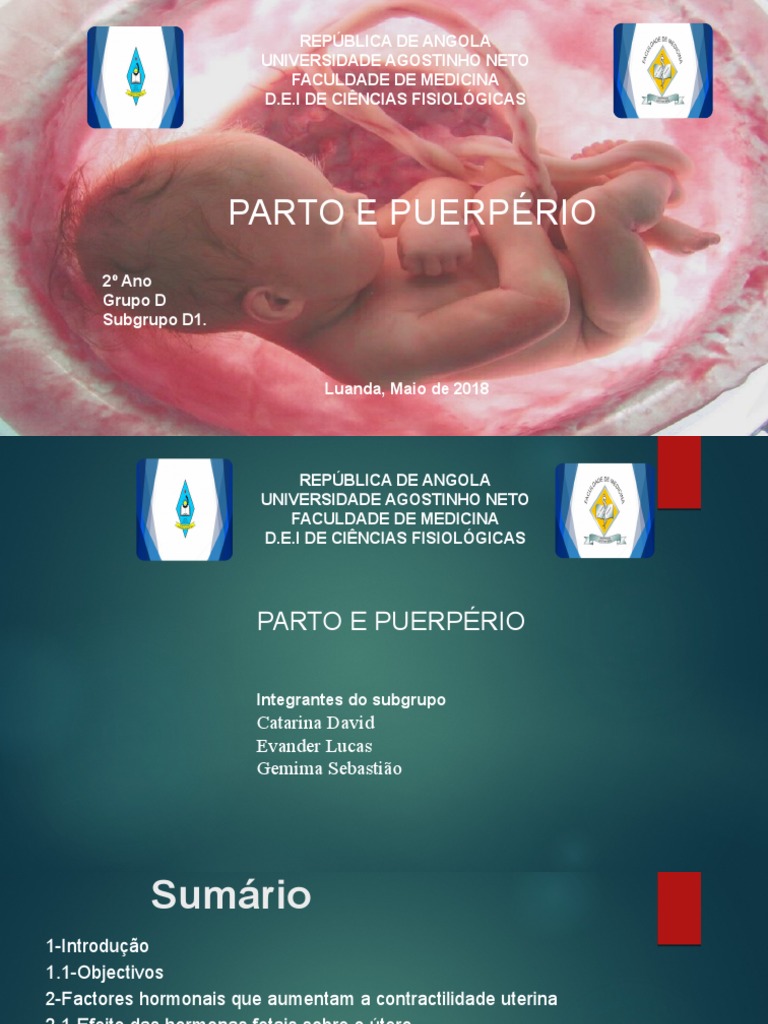 Parto e Puerpério1 | PDF | Útero | Parto