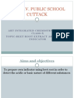 Beet Root Acid - Base Indicator