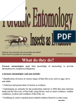 Forensic Entomology