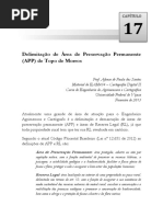 Delimitação de APP Topo de Morro - NovoCodigo - 2012 PDF