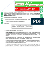 Sistema Respiratorio para Niños de Cuarto de Primaria