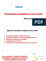 5 - Teoría - Guzmán - Transmisión Sináptica y de La Unión PDF