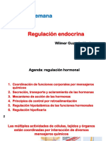 7 - Teoría - Guzmán - Regulación endocrina