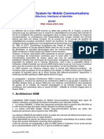 GSM1_EFORT.pdf