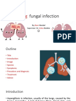 Fungal Infection: by Himdad Supervisor: Dr. Ibrahim