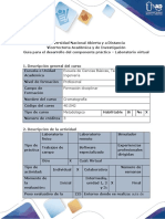 Guía para El Desarrollo Del Componente Práctico Virtual