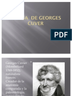 Teoría de Georges Cuver