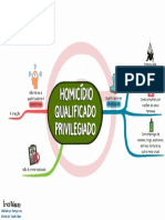 CE-DirP-02-Homicídio Qualificado Privilegiado 