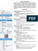 CurriculumVitae Español PDF