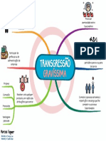 Leg-23- Transgressão Gravíssima  