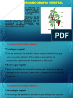 Unidad 5 Raiz PDF