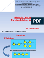 Cours - Biologie - Cellulaire - DR CHAA - Vacuole - Paroi - 2018 - 2019