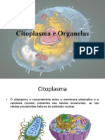 CITOPLASMA E ORGANELAS - AULA BIOLOGIA CELULAR - ENSINO MÉDIO.pptx
