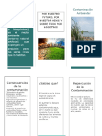 Se Denomina Contaminación Ambiental A La