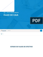 002 FLUJO DE CAJA.pdf