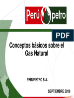 Conceptos Basicos de Gas